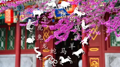 6 zodii chinezești norocoase în săptămâna 9-15 martie 2026. Ce îi așteaptă pe nativi