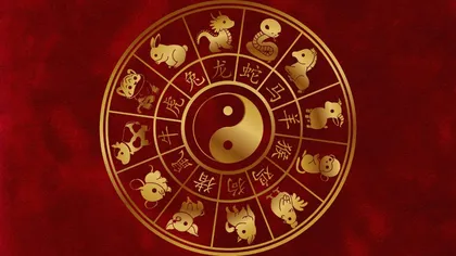 Trei ZODII CHINEZEȘTI care trebuie să schimbe un singur lucru pentru a avea noroc la BANI în 2026