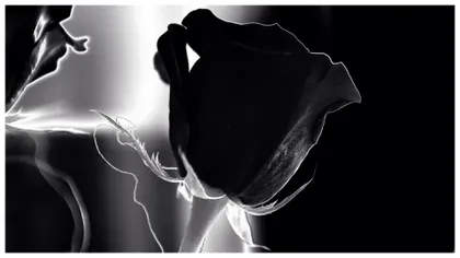 A murit un campion din „generaţia de aur”. Anunţul dureros făcut de federaţie: „Am aflat cu profundă tristeţe”