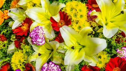 Mesaje și urări de Florii 2026. Cele mai frumoase felicitări pe care le poți trimite celor care își sărbătoresc onomastica