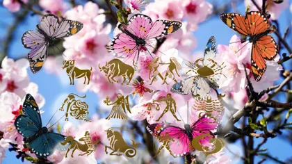 Horoscop weekend 1-3 mai 2026. Luna Plină în Scorpion rupe măștile, iar Mercur în Taur aduce decizia care schimbă totul. Cum ți se poate schimba destinul în următoarele zile