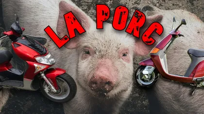 Cursă „nebună” într-o comună din Iași. Doi tineri au băut la barul „La Porc”, s-au întrecut cu scuterele 5 – 10 metri și au intrat unul în altul