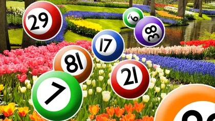 Rezultate Loto 14 mai 2026. Report de peste 4,36 milioane de euro la 6/49, categoria I
