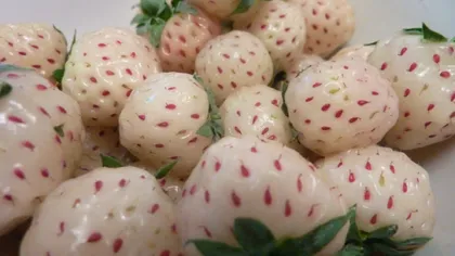 Fructul cu care un fermier român a dat lovitura anul acesta. Se vinde cu 30 de dolari bucata în ţara de origine