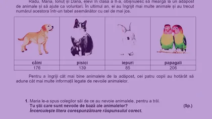 Evaluare Națională clasa a II-a. Subiecte la Matematică și Explorarea mediului