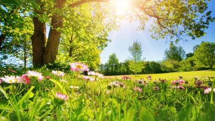 Prognoza meteo 5 mai. Temperaturi de vară și ploi în România. Termometrele vor urca spre 28 de grade