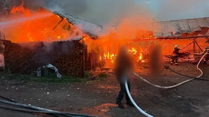 Incendiu violent la două adăposturi de animale, în Suceava
