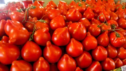 Roșiile cu moț, vedetele sezonului în supermarketuri și piețe. Cât costă kilogramul