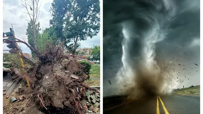 O tornadă devastatoare a smuls copaci şi acoperişuri la Roma VIDEO
