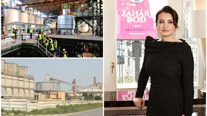 Mihaela Neagu avertizează asupra transformărilor din industria alimentară: „Schimbarea consumatorului poate costa industria miliarde”