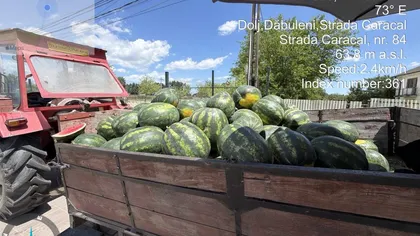 Piețele invadate de ”falși” pepeni de Dăbuleni. Avertismentul oficialilor din Dolj. Cât costă pepenii la început de sezon