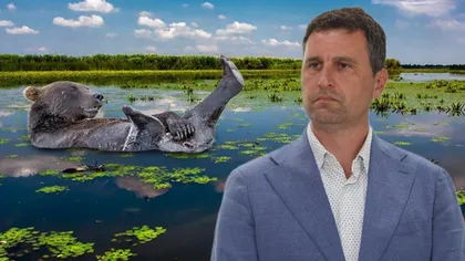 Tánczos Barna avertizează: „Dacă nu intervenim, ursul se va duce să facă baie în Deltă”. România cere reguli noi la nivel european