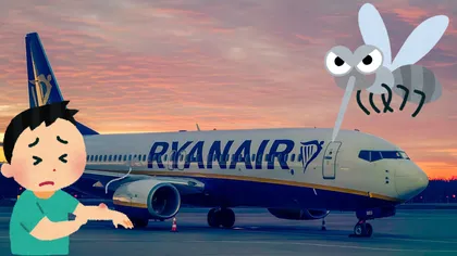 Mai mulți țânțari s-au îmbarcat într-un avion Ryanair, cu destinația Alicante, însă au fost dați afară. Motivul? Erau prea zgomotoși