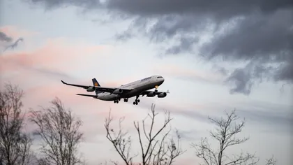 Avion prăbușit în Bahamas. Pilotul și restul pasageilor au murit. O formație celebră ar fi fost la bordul aeronavei