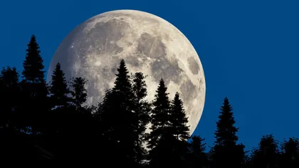 Zodia care are șansa de a lua o decizie importantă înainte de Luna Plină. Fenomenul astral care aduce ordine în viață și în gânduri