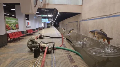 Când va fi reluată circulația la stația de metrou Piața Victoriei 2. Subteranul s-a transformat în bazin olimpic, iar ministrul Radu Miruță așteaptă armata să sece „oceanul” de pe șine