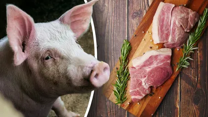 Piața cărnii de porc este în declin. Prețurile au ajuns la un minim istoric, pe fondul supraproducției din UE