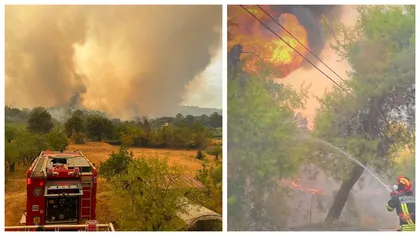 Peste 2.700 de hectare de teren, mistuite de flăcări în ultimele zile. Incendiu puternic și luni, în Deltă! VIDEO