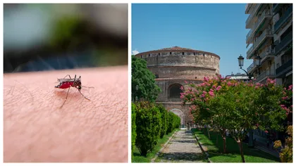 Alertă de West Nile într-o țară unde merg în vacanță mulți români! Zeci de cazuri noi pe săptămână, nouă oameni decedați