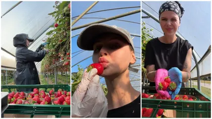 Câți bani a câștigat o influenceriță după ce a mers la cules de căpșune în Germania: „Nu este o muncă ușoară”