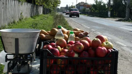 Sancțiuni aplicate celor care vând legume și fructe pe marginea drumului. Unde au făcut polițiștii controale