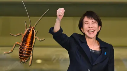 Premierul Japoniei, dezvăluiri șocante despre viața la vârful puterii: „Sunt atât de singură încât m-am împrietenit cu un gândac”