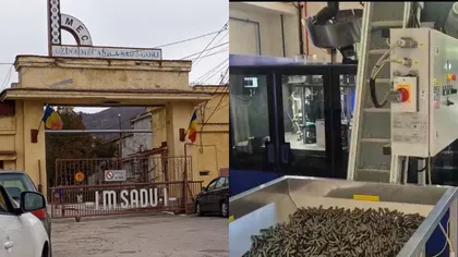 Uzina Mecanică Sadu renaște. Încep angajările și se pregătesc negocieri cu americanii de la US Ballistics pentru producția de muniție