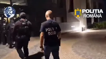 Cetăţean suedez suspectat de implicare în atacuri armate la comandă, prins în România. Percheziții DIICOT în București și Otopeni