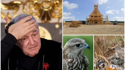 Amendă imensă decisă de instanţă pentru fiica lui Gigi Becali. Procesul nu s-a încheiat