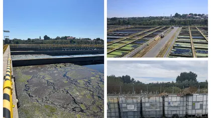 DOCUMENT De unde a venit mirosul insuportabil care a fost simțit de mii de bucureșteni în luna august. Garda de Mediu a dat amenzi de aproape 800.000 de lei
