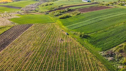 Terenurile agricole mari din România s-au ieftin considerabil. Cât costă hectarul acum