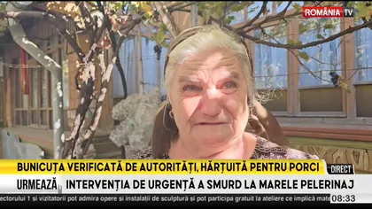 EXCLUSIV CAMERA ASCUNSĂ. Cum este hărţuită tanti Marioara din cauza porcilor şi găinilor. A fost verificată de DSV, DSP şi Garda de Mediu VIDEO