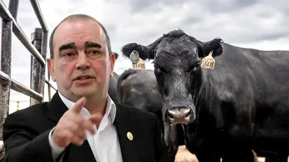 Gigi Nețoiu, amendat de Apele Române pentru ferma de 6 milioane de euro. Ce au descoperit inspectorii