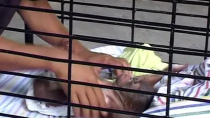 Un pui de urangutan, născut la un zoo din Indonezia VIDEO