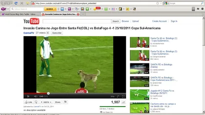 Amuzant. Un câine microbist a dat peste cap un meci de fotbal VIDEO