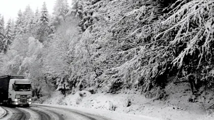 A venit iarna. Ninge abundent în Pasul Tihuţa