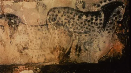 Caii-leopard, pictaţi în peşteri, au existat în realitate, confirmă analizele ADN