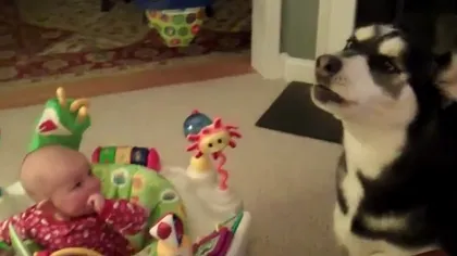 Un câine opreşte din plâns un bebeluş VIDEO