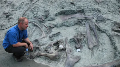 Posibile urme ale coabitării oamenilor cu dinozaurii, descoperite în China