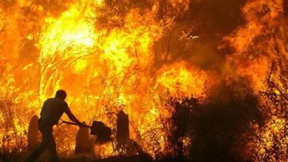 Două incendii de pădure au izbucnit pe Valea Doftanei