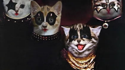 Coperţile unor albume muzicale celebre, cu pisici în loc de artişti GALERIE FOTO