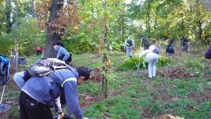 Aproape 300 de voluntari vor face curăţenie în Grădina Botanică din Bucureşti