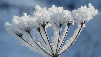 Cea mai scăzută temperatură din această iarnă: Minus 18 grade la Miercurea Ciuc