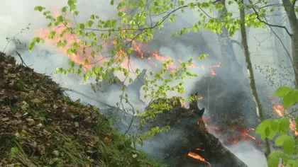 Doi turişti rătăciţi au dat foc pădurii pentru a fi văzuţi de salvamontişti