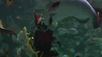 Moş Crăciun face spectacol sub apă VIDEO