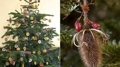Top 5 decoraţiuni de Crăciun, ecologice şi ieftine FOTO