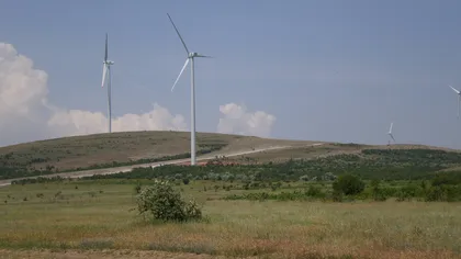 Electrica a anulat licitaţiile pentru achiziţia de turbine generatoare pentru două parcurile eoliene