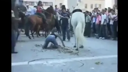 De râsul... cailor! Un armăsar trânteşte o blondă în balegă VIDEO