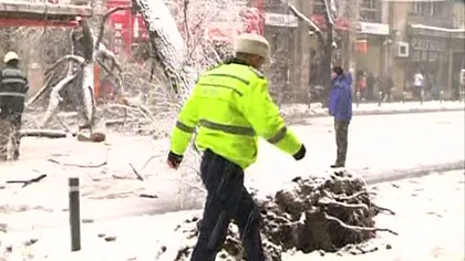 Capitala sub zăpadă: 67 de copaci au fost rupţi, 30 de maşini distruse FOTO VIDEO