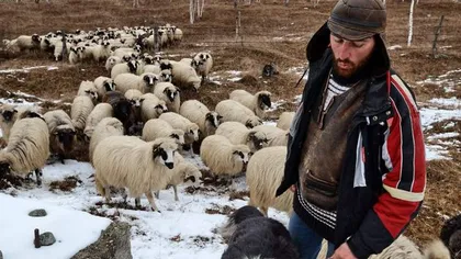 Povestea ciobanului cu trei facultăţi, cu blog şi dragoste de Nietzsche